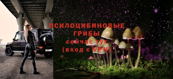 трава Верхнеуральск