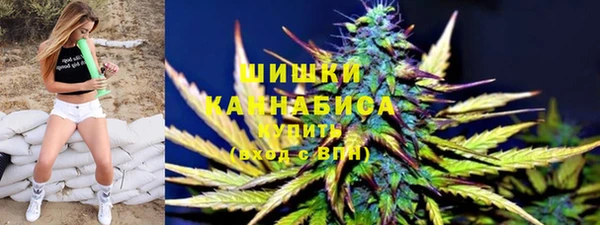 спиды Бородино